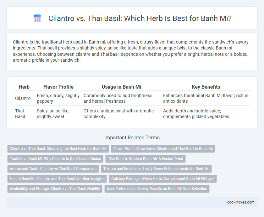 Cilantro vs. Thai Basil: Which Herb Is Best for Banh Mi?