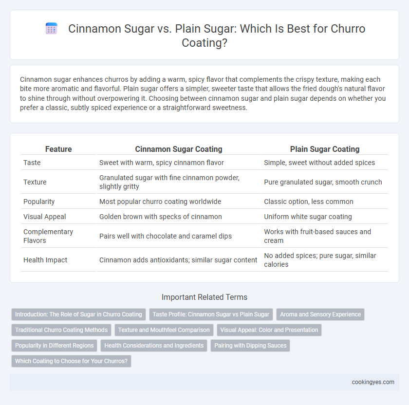 Cinnamon Sugar vs. Plain Sugar: Which Is Best for Churro Coating?
