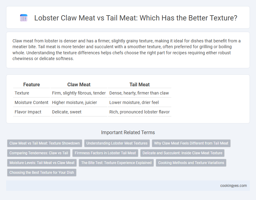 Lobster Claw Meat vs Tail Meat: Which Has the Better Texture?