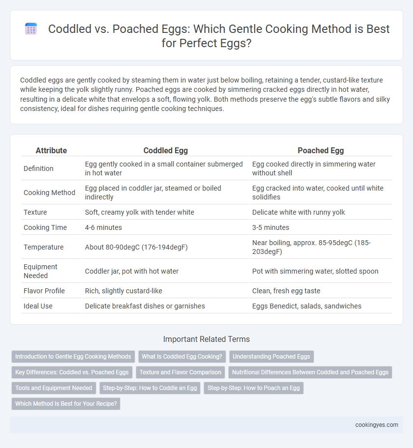 Coddled vs. Poached Eggs: Which Gentle Cooking Method is Best for Perfect Eggs?