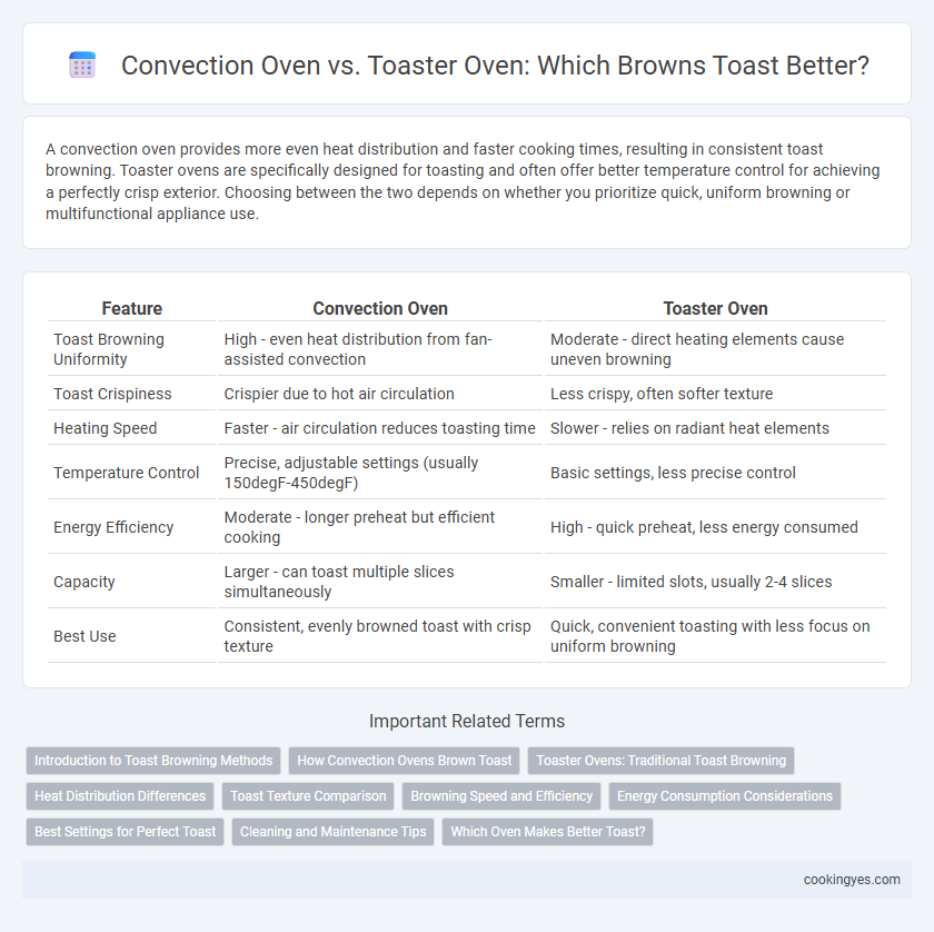 Convection Oven vs. Toaster Oven: Which Browns Toast Better?