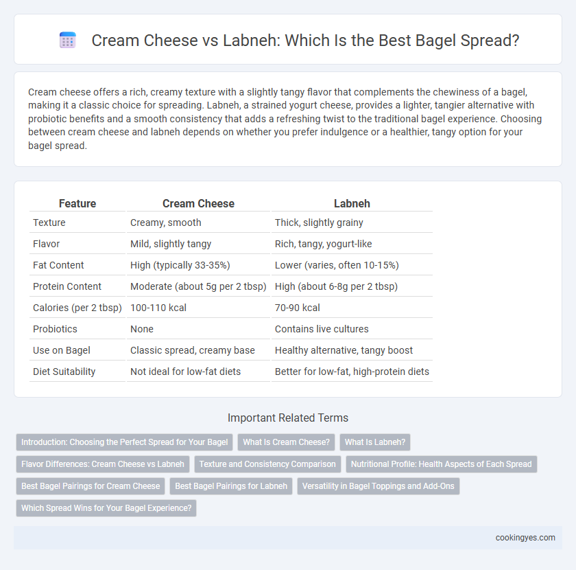 Cream Cheese vs Labneh: Which Is the Best Bagel Spread?