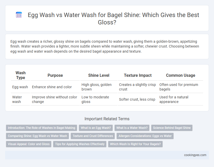 Egg Wash vs Water Wash for Bagel Shine: Which Gives the Best Gloss?