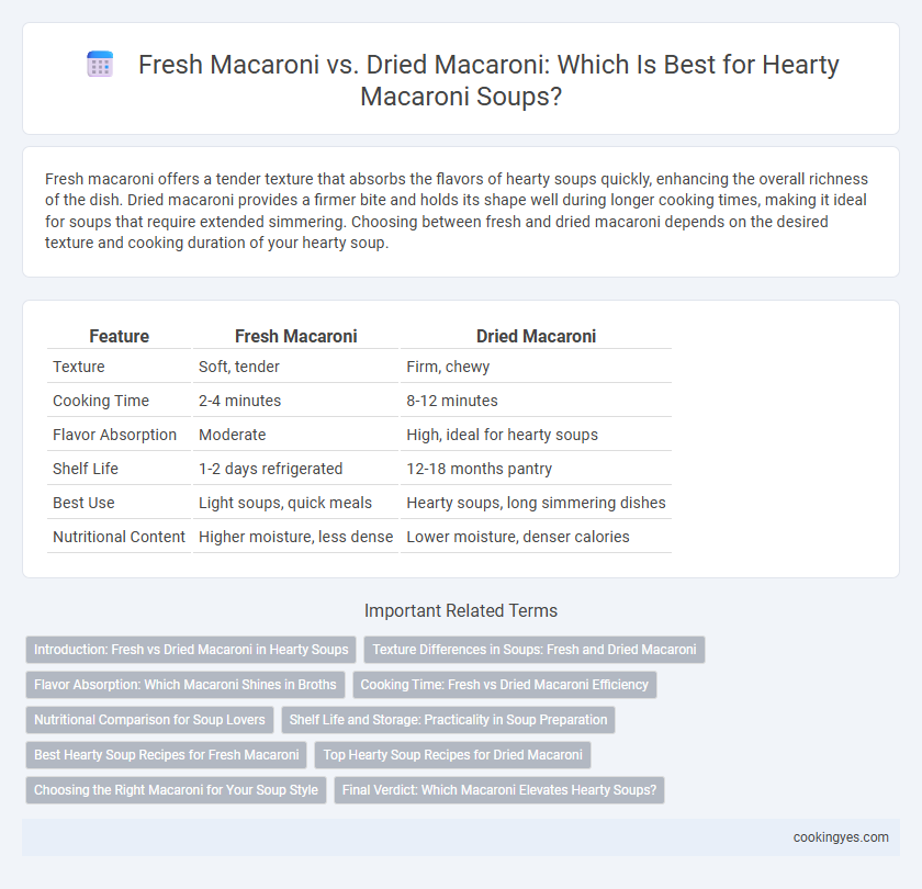 Fresh Macaroni vs. Dried Macaroni: Which Is Best for Hearty Macaroni Soups?