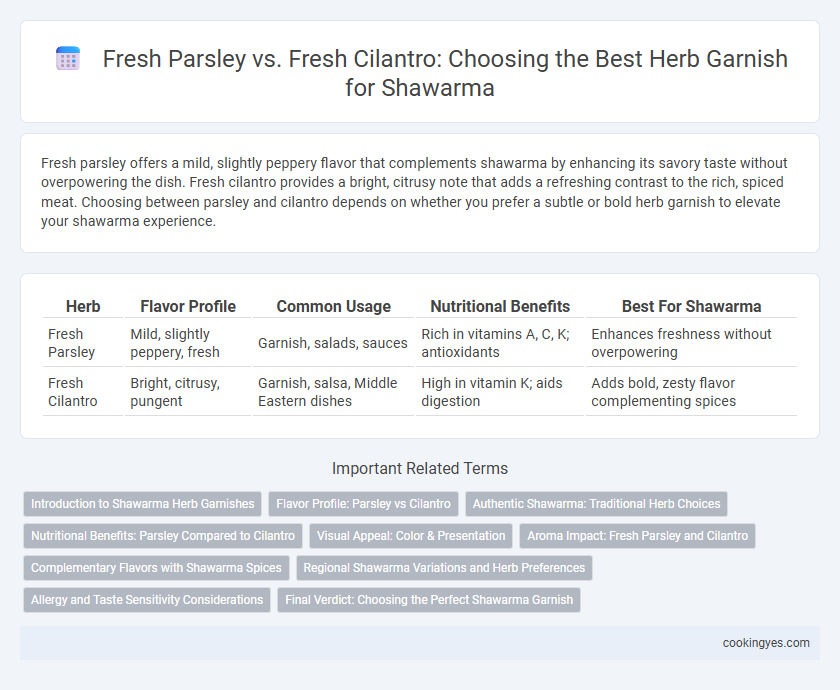 Fresh Parsley vs. Fresh Cilantro: Choosing the Best Herb Garnish for Shawarma