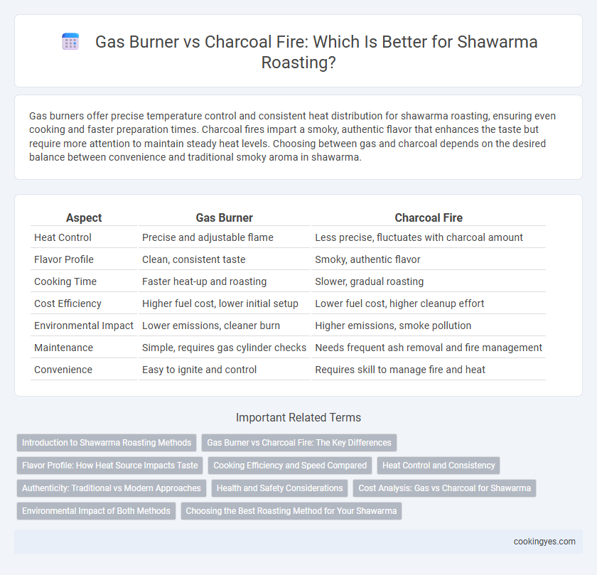 Gas Burner vs Charcoal Fire: Which Is Better for Shawarma Roasting?