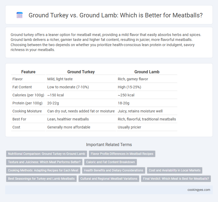 Ground Turkey vs. Ground Lamb: Which is Better for Meatballs?