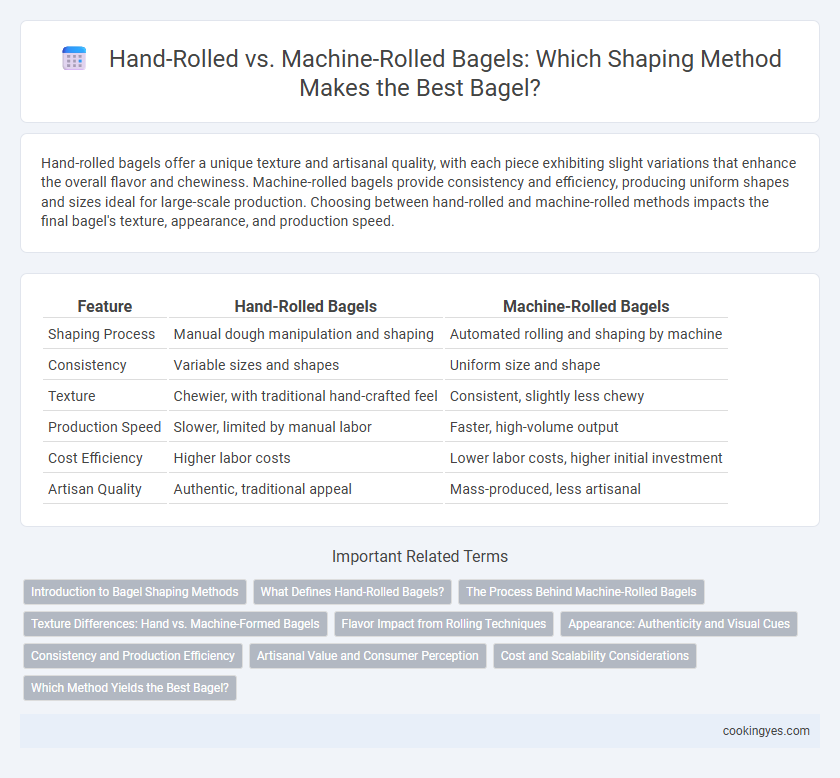 Hand-Rolled vs. Machine-Rolled Bagels: Which Shaping Method Makes the Best Bagel?