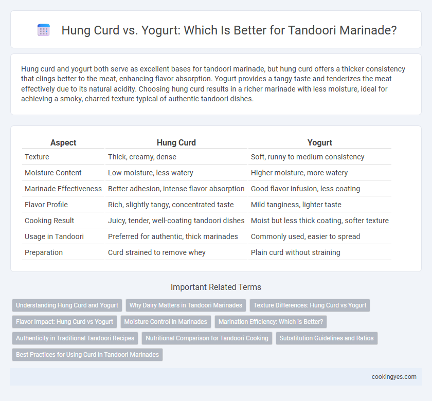 Hung Curd vs. Yogurt: Which Is Better for Tandoori Marinade?