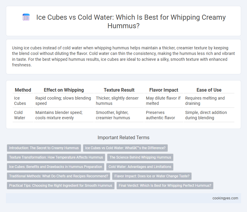 Ice Cubes vs Cold Water: Which Is Best for Whipping Creamy Hummus?