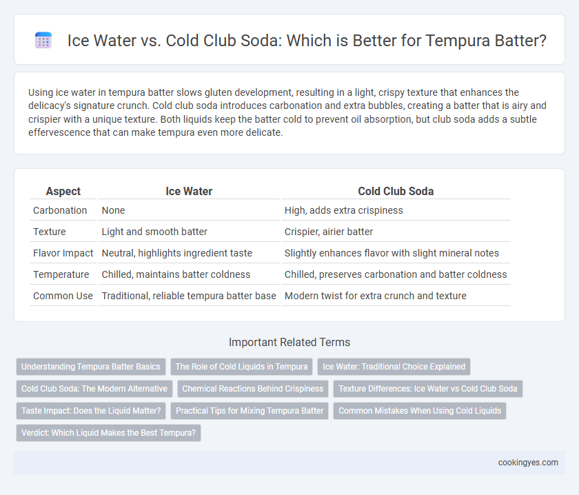 Ice Water vs. Cold Club Soda: Which is Better for Tempura Batter?
