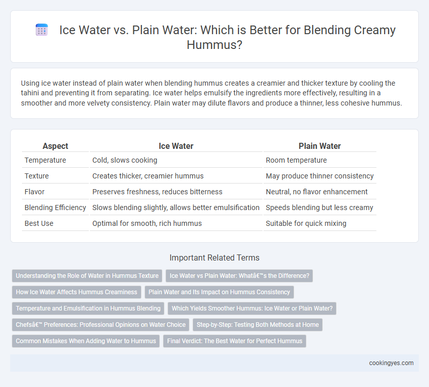 Ice Water vs. Plain Water: Which is Better for Blending Creamy Hummus?
