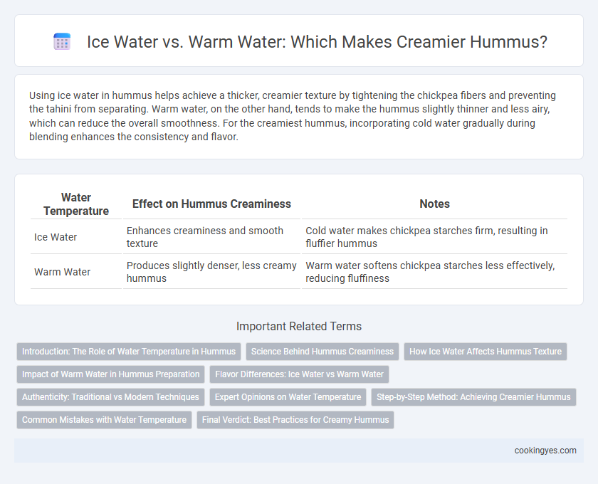 Ice Water vs. Warm Water: Which Makes Creamier Hummus?