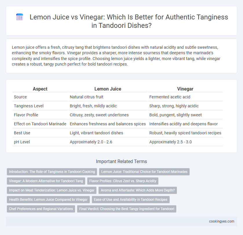 Lemon Juice vs Vinegar: Which Is Better for Authentic Tanginess in Tandoori Dishes?