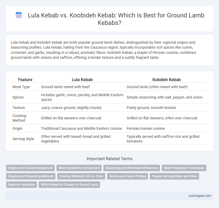Lula Kebab vs. Koobideh Kebab: Which Is Best for Ground Lamb Kebabs?