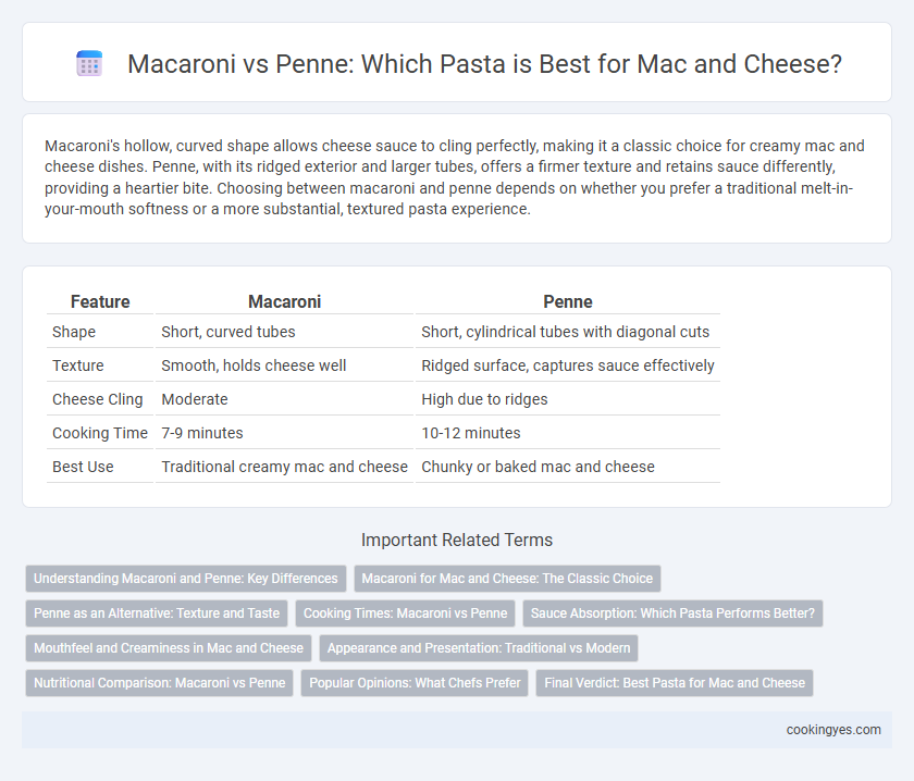 Macaroni vs Penne: Which Pasta is Best for Mac and Cheese?