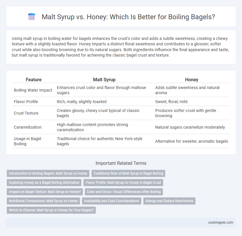 Malt Syrup vs. Honey: Which Is Better for Boiling Bagels?
