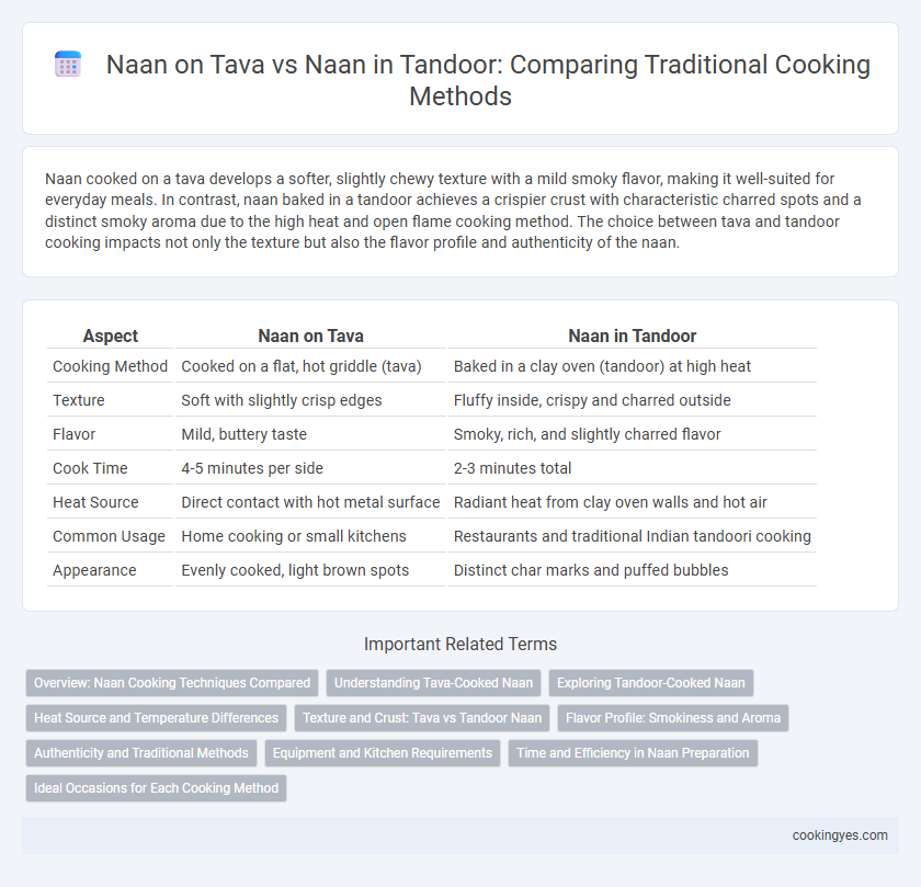 Naan on Tava vs Naan in Tandoor: Comparing Traditional Cooking Methods