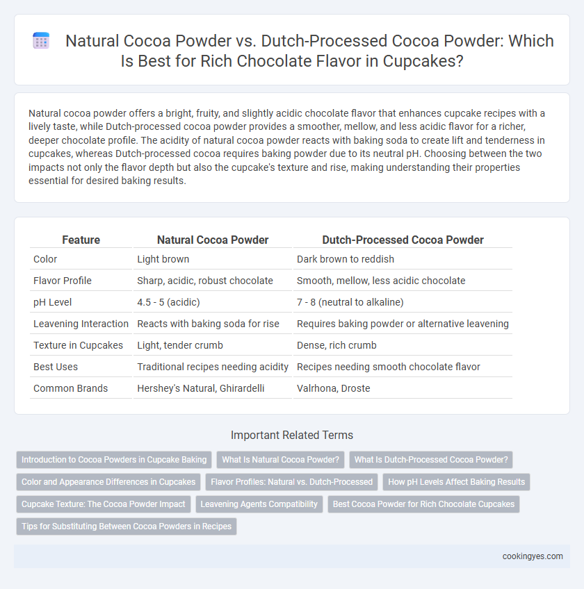 Natural Cocoa Powder vs. Dutch-Processed Cocoa Powder: Which Is Best for Rich Chocolate Flavor in Cupcakes?