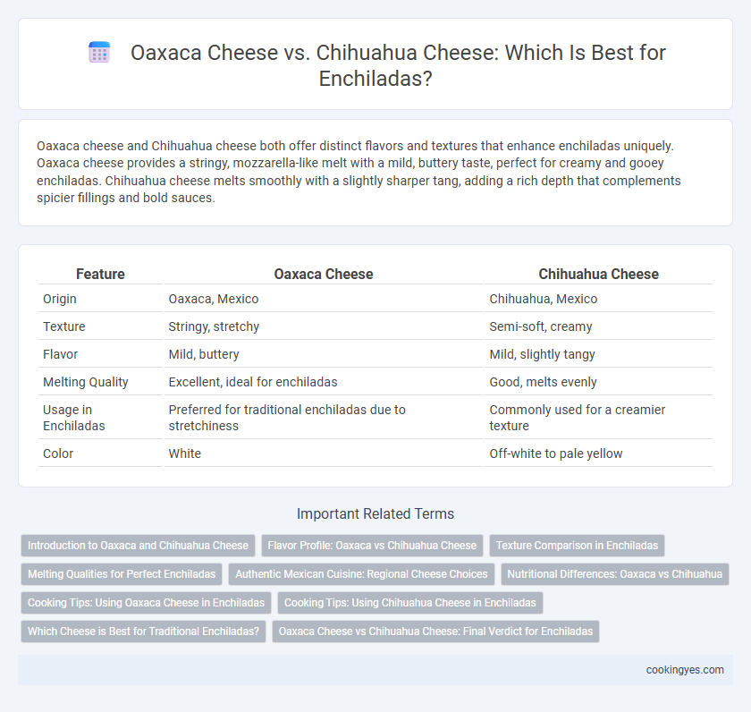 Oaxaca Cheese vs. Chihuahua Cheese: Which Is Best for Enchiladas?