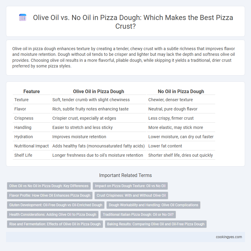Olive Oil vs. No Oil in Pizza Dough: Which Makes the Best Pizza Crust?