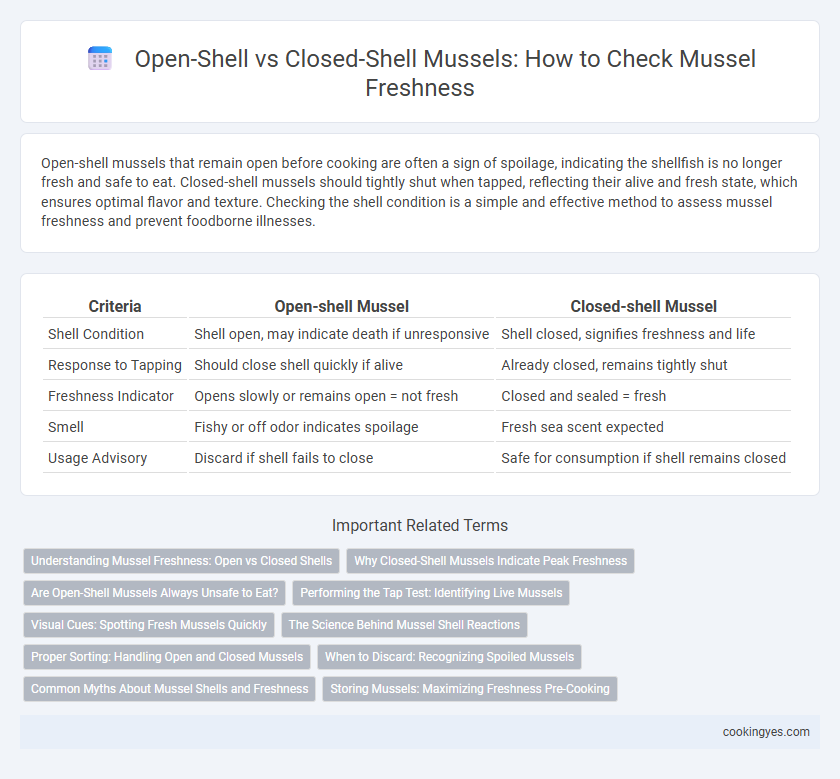 Open-Shell vs Closed-Shell Mussels: How to Check Mussel Freshness