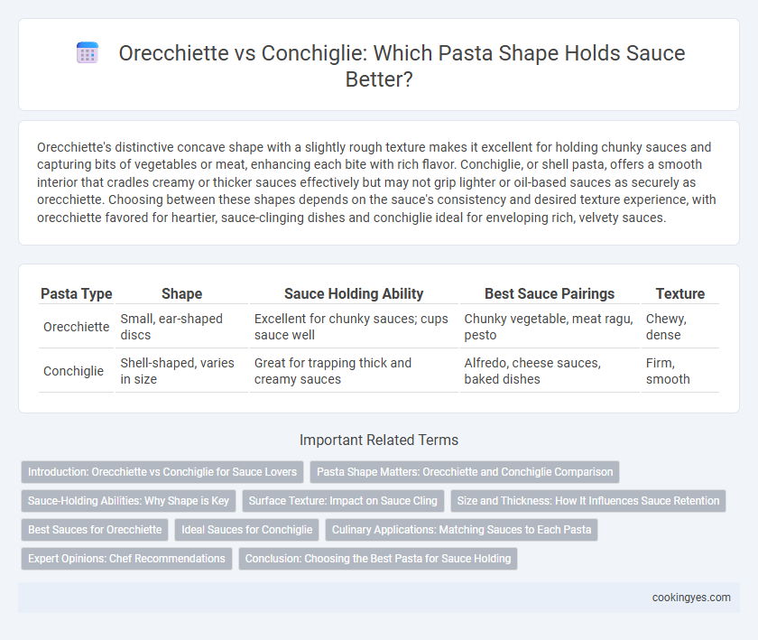 Orecchiette vs Conchiglie: Which Pasta Shape Holds Sauce Better?