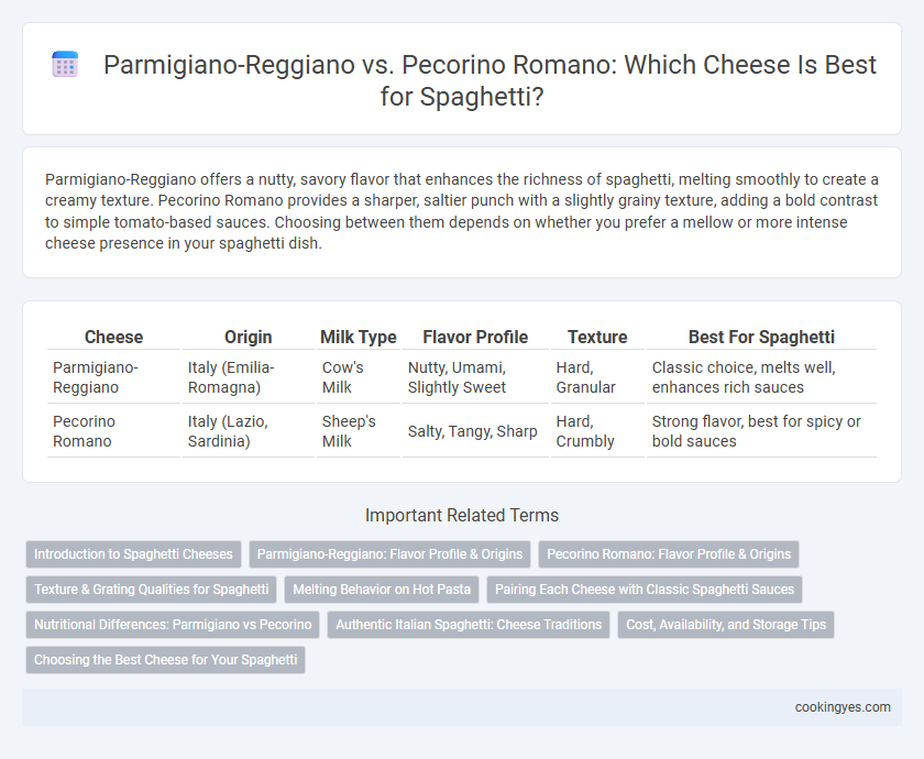 Parmigiano-Reggiano vs. Pecorino Romano: Which Cheese Is Best for Spaghetti?