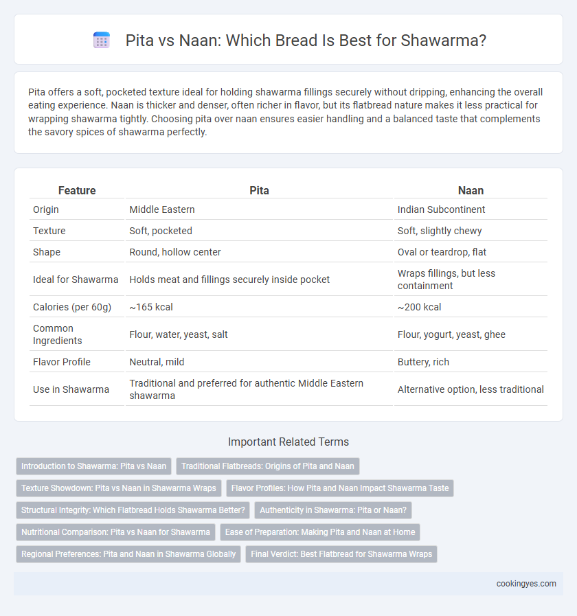 Pita vs Naan: Which Bread Is Best for Shawarma?