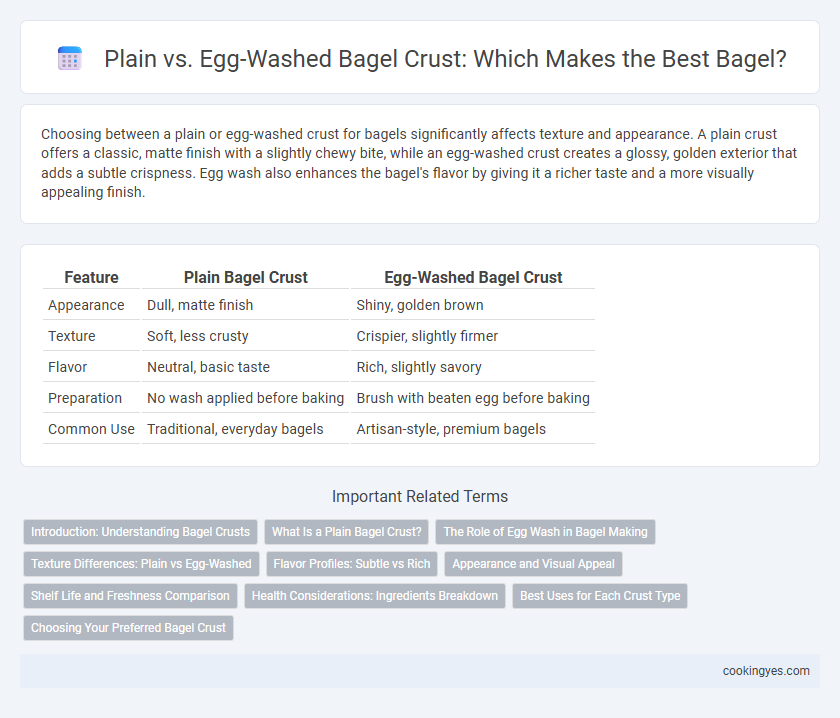 Plain vs. Egg-Washed Bagel Crust: Which Makes the Best Bagel?