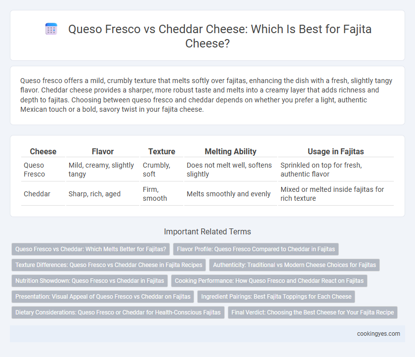 Queso Fresco vs Cheddar Cheese: Which Is Best for Fajita Cheese?