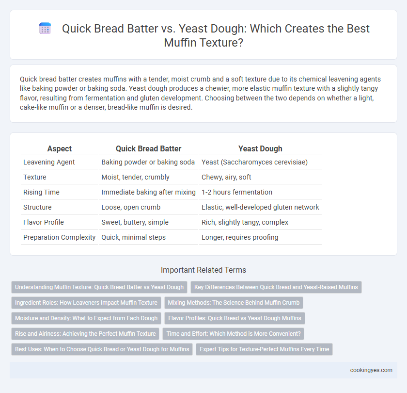 Quick Bread Batter vs. Yeast Dough: Which Creates the Best Muffin Texture?