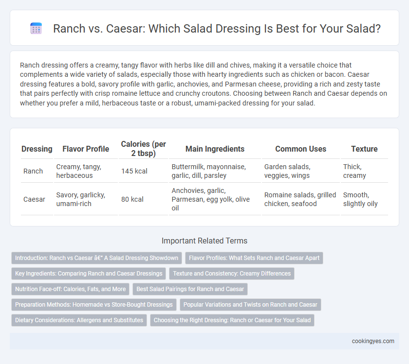 Ranch vs. Caesar: Which Salad Dressing Is Best for Your Salad?