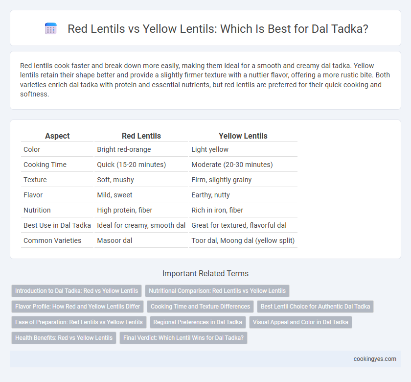 Red Lentils vs Yellow Lentils: Which Is Best for Dal Tadka?