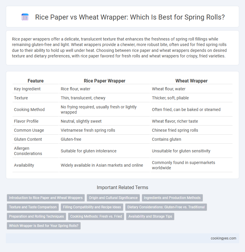 Rice Paper vs Wheat Wrapper: Which Is Best for Spring Rolls?