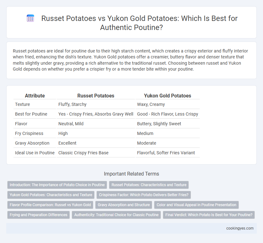 Russet Potatoes vs Yukon Gold Potatoes: Which Is Best for Authentic Poutine?