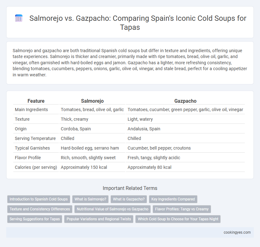 Salmorejo vs. Gazpacho: Comparing Spain's Iconic Cold Soups for Tapas