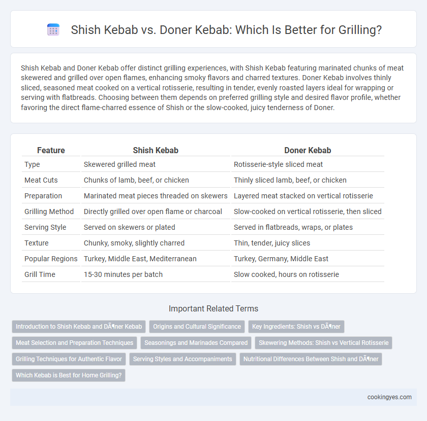 Shish Kebab vs. Doner Kebab: Which Is Better for Grilling?