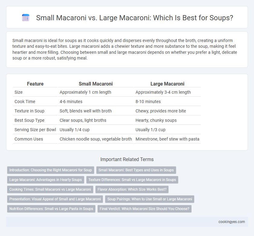 Small Macaroni vs. Large Macaroni: Which Is Best for Soups?