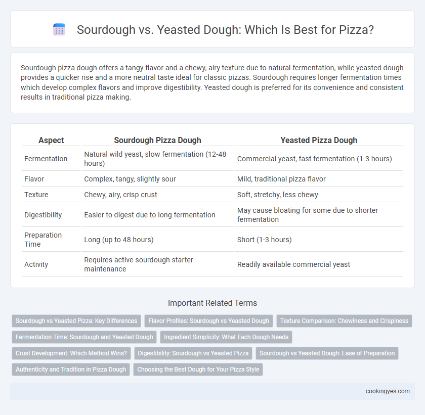 Sourdough vs. Yeasted Dough: Which Is Best for Pizza?