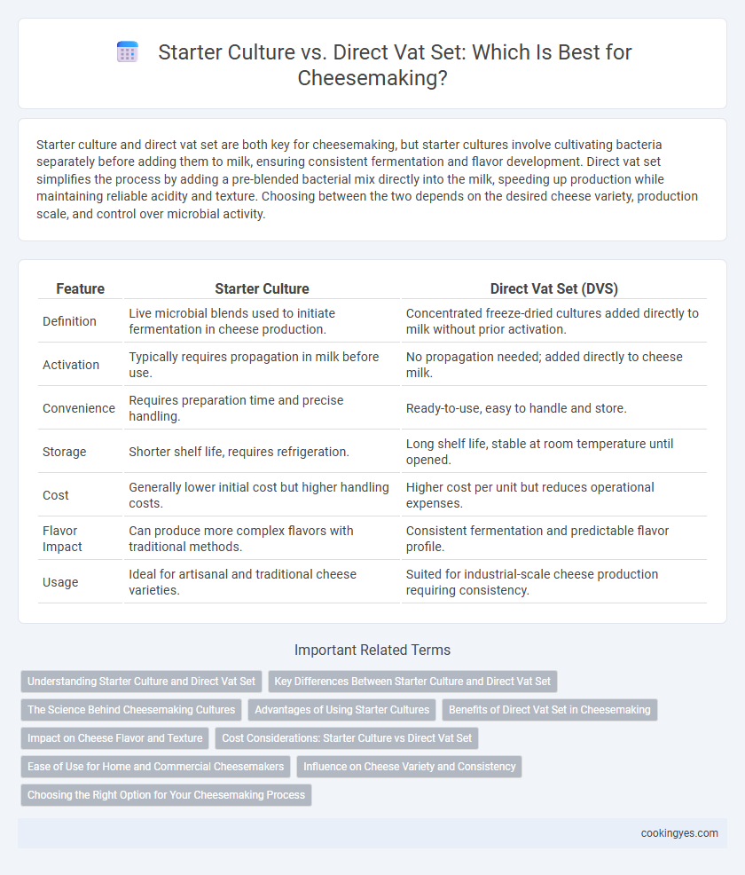 Starter Culture vs. Direct Vat Set: Which Is Best for Cheesemaking?
