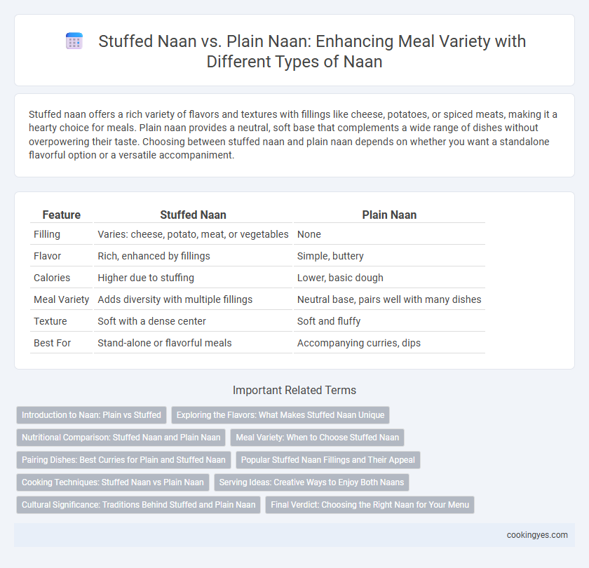 Stuffed Naan vs. Plain Naan: Enhancing Meal Variety with Different Types of Naan