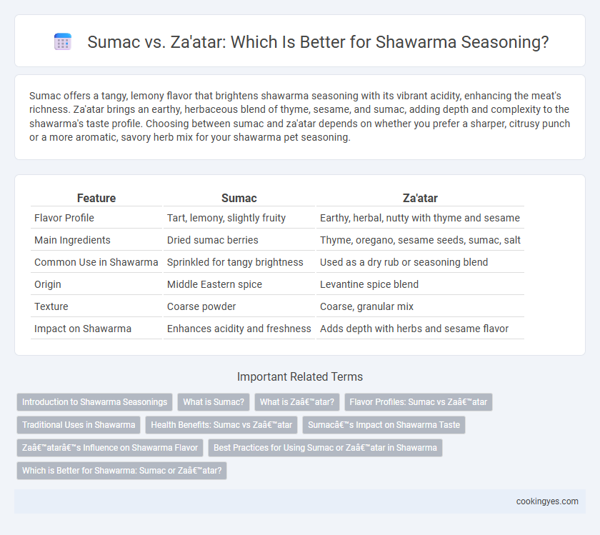 Sumac vs. Za'atar: Which Is Better for Shawarma Seasoning?
