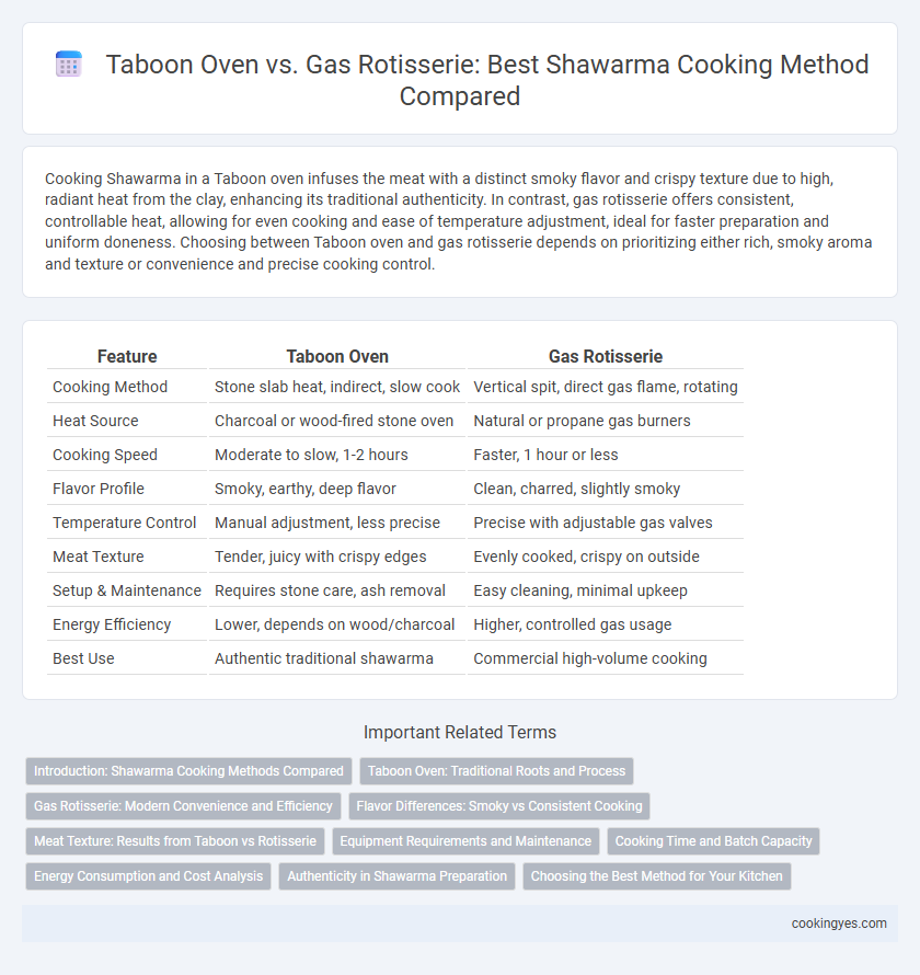 Taboon Oven vs. Gas Rotisserie: Best Shawarma Cooking Method Compared