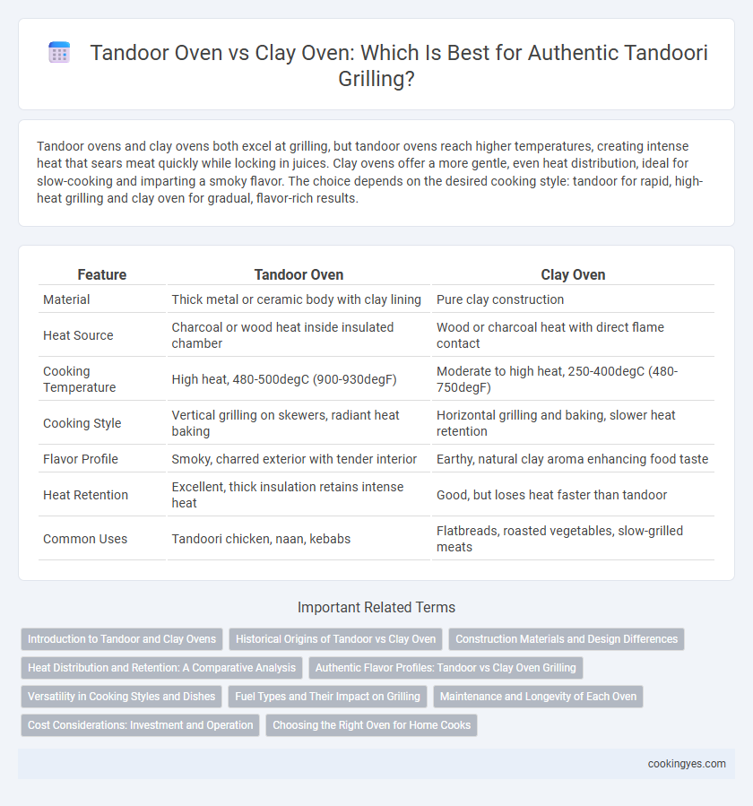 Tandoor Oven vs Clay Oven: Which Is Best for Authentic Tandoori Grilling?