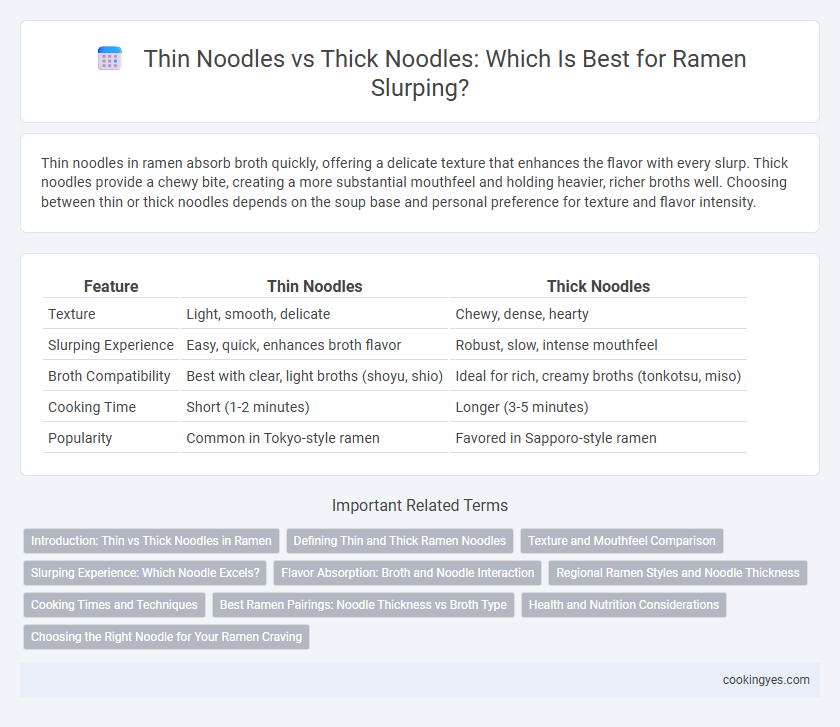 Thin Noodles vs Thick Noodles: Which Is Best for Ramen Slurping?