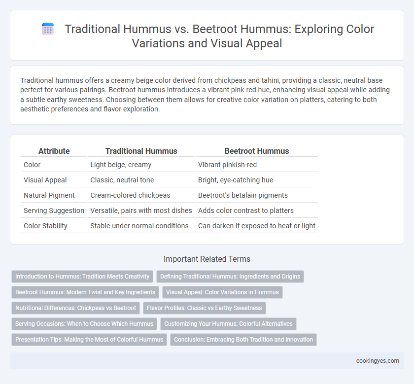 Traditional Hummus vs. Beetroot Hummus: Exploring Color Variations and Visual Appeal