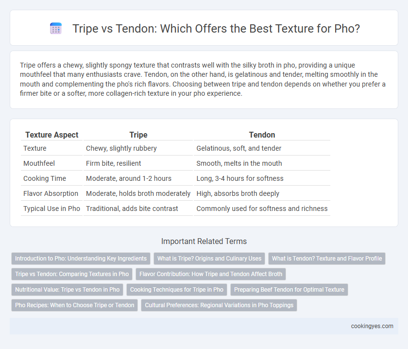 Tripe vs Tendon: Which Offers the Best Texture for Pho?