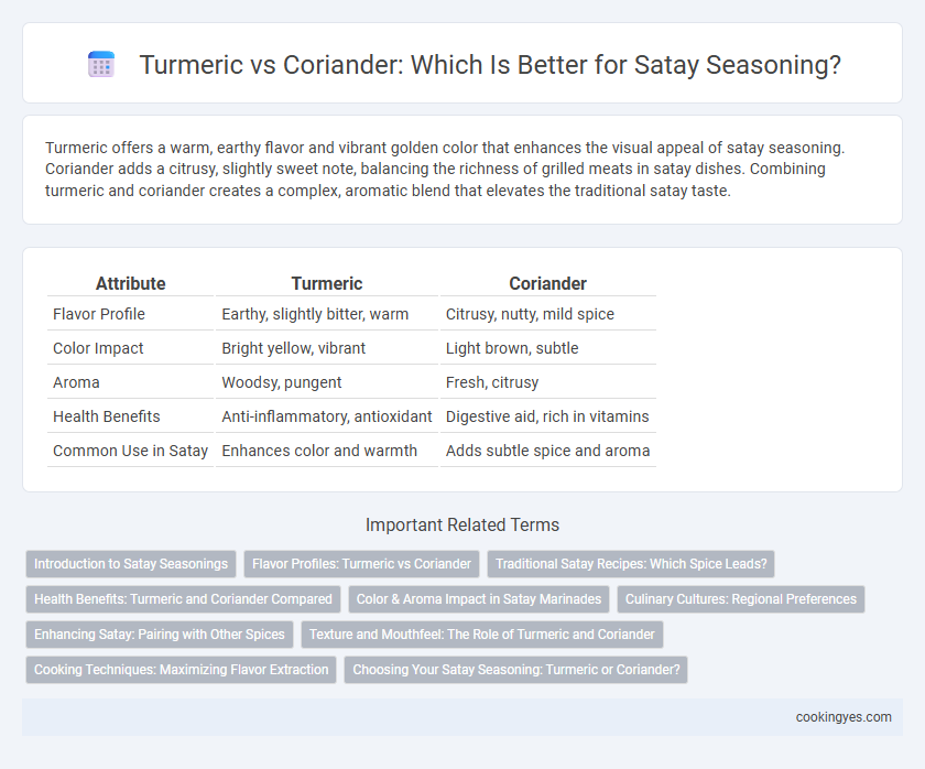 Turmeric vs Coriander: Which Is Better for Satay Seasoning?