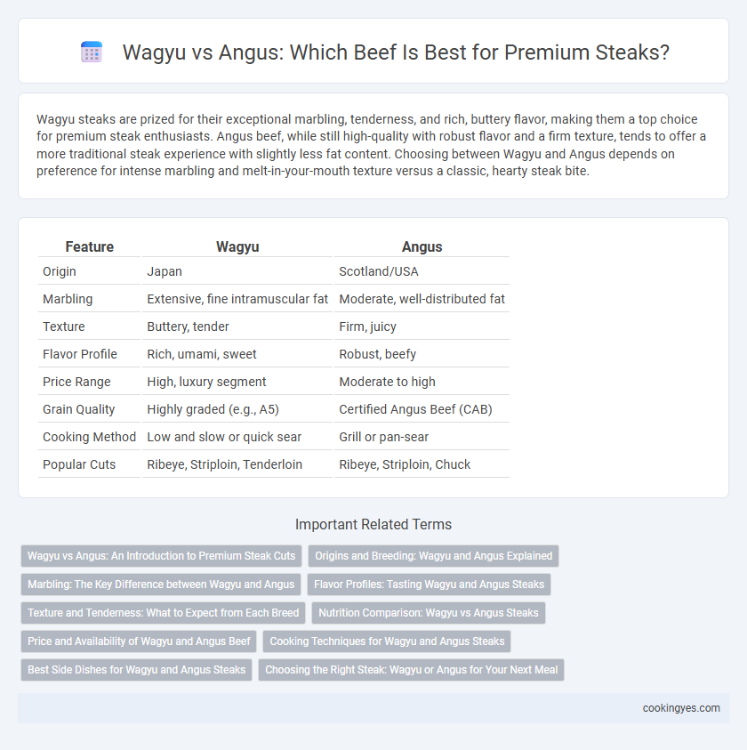 Wagyu vs Angus: Which Beef Is Best for Premium Steaks?